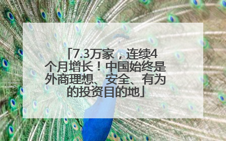 7.3万家，连续4个月增长！中国始终是外商理想、安全、有为的投资目的地