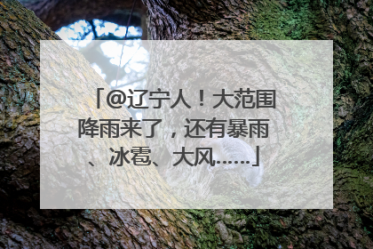@辽宁人！大范围降雨来了，还有暴雨、冰雹、大风……