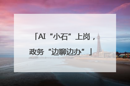 AI“小石”上岗，政务“边聊边办”