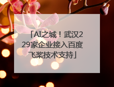 AI之城！武汉229家企业接入百度飞桨技术支持