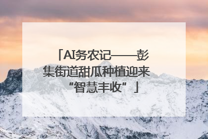 AI务农记——彭集街道甜瓜种植迎来“智慧丰收”
