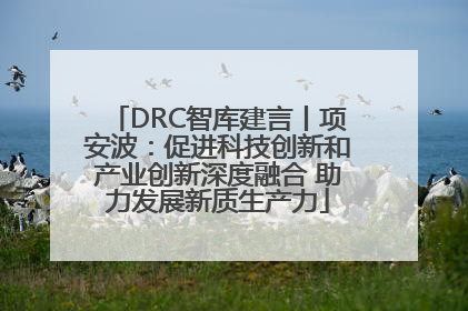 DRC智库建言丨项安波：促进科技创新和产业创新深度融合 助力发展新质生产力