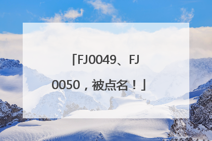 FJ0049、FJ0050，被点名！