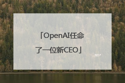 OpenAI任命了一位新CEO